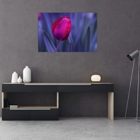 Tulipán bimbó képe (90x60 cm)