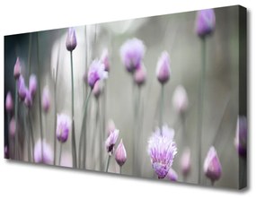 Vászonkép nyomtatás Virág Vadvirágok Mező Természet 100x50 cm