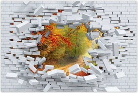 Poszterek 60x40 Út az erdőben ősz