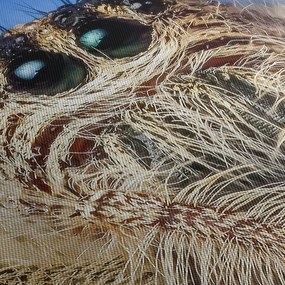A pók részletének képe (120x50 cm)