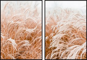 Skandináv poszter képek 2db fű 60x90cm