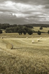 Poszter 30x45cm Szénakazalok a mezőkön 3, Assaf Frank