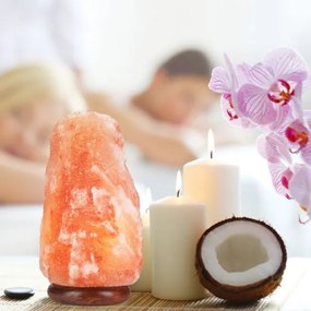 Sólámpa SALLY 1xE14/25W/230V