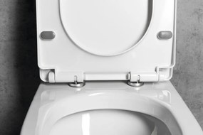 Aqualine Aqualine, VERMET WC ülőke, Soft Close, fehér, VRS008