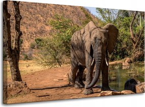 Vászonkép Elefánt Afrika Víz Iszap Nap 100x60 cm Ideális ajándék