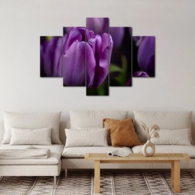 Tulipán vírág képe (150x105 cm)