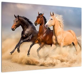 Kép - Vad lovak (üvegen) (70x50 cm)