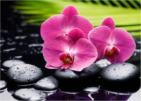 Kép - Rózsaszín orchidea pálmalevéllel (70x50 cm)