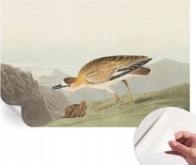 Öntapadós Dekoratív Fotótapéta Hálószobába Hegyi madár 104x70 cm