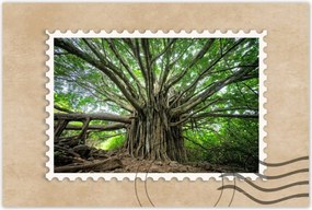 Poszterek 90x60 Fa Kilátás