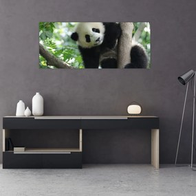 Kép - Panda a fán (120x50 cm)