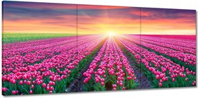 Vászonkép 150x70 Tulipánok tengere Virágok