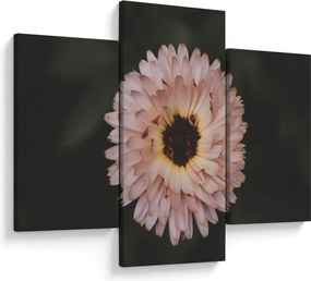 Narancsságra virág képe (90x60 cm)