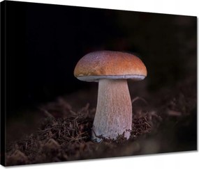 Vászonkép 40x30 A gombák királya