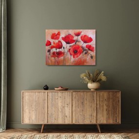Üveg kép - Farkas mák (70x50 cm)