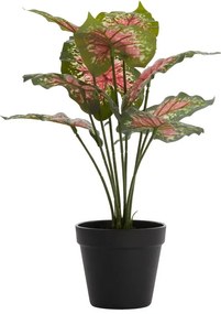 Műnövény (magasság 40 cm) Caladium – Light &amp; Living