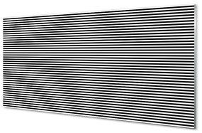 Üvegképek zebra csíkos 100x50 cm