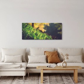 A moha képe gombával (120x50 cm)