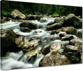 Vászonkép 40x30 Tátra Lengyel hegyek Kilátás