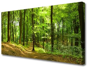 Vászonkép falra Forest Path Természet 100x50 cm