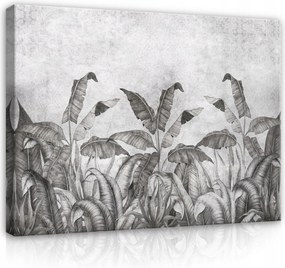 Vászonkép 80x60 Trópusi levelek monokróm grafika természet nyugalom