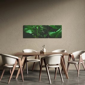 Kép - Pálmalevél (órával) (90x30 cm)