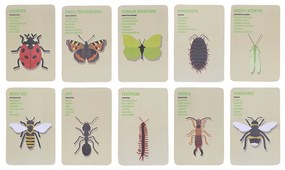 Bogaras felfedező szett gyerekeknek, 6 db-os