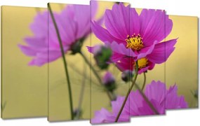 Våszonkép 100x60 Virågok a réten