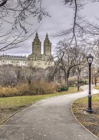 Poszter 29,7x42cm Ösvény a központi parkon át 3, Assaf Frank