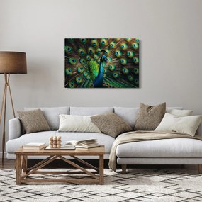 Kép – Pávatoll (90x60 cm)