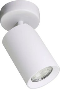 Zuma Line TORE TLS006-WH mennyezeti lámpa 1x35W/GU10 IP20