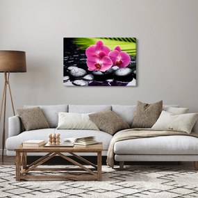 Kép - Rózsaszín orchidea pálmalevéllel (90x60 cm)