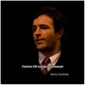 Poszterek 100x100 Godfather Sonny Idézetek