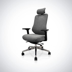 Ergonomikus irodai szék sötétszürke AXIS