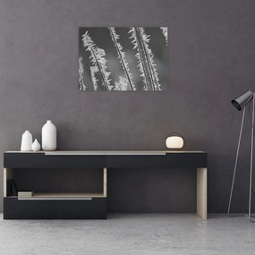 Üveg kép - Fagyos hideg (70x50 cm)