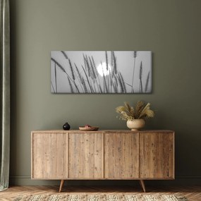 Kép - Mező naplementében (120x50 cm)