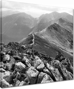 Vászonkép 40x40 Tátra Lengyel hegyek Kilátás