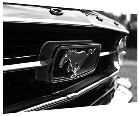 Mustang részletes képe (90x60 cm)