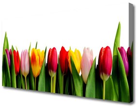 Vászonkép nyomtatás üzem tulipán 100x50 cm