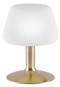 Paul Neuhaus Paul Neuhaus 4078-60 - LED Dimmelhető asztali lámpa TILL 1xG9/3W/230V sárgaréz W2379
