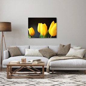 Tulipán képe (üvegen) (70x50 cm)