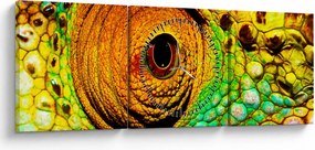 Kép - Kaméleon (órával) (90x30 cm)