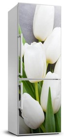 Hűtő matrica Fehér tulipán FridgeStick-70x190-f-104270630