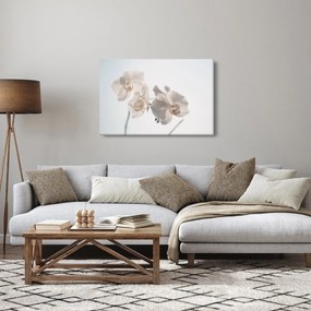 Fehér orchidea képe (90x60 cm)