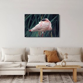 Kép - Flamingó (90x60 cm)