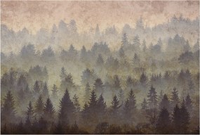 Flizelin tapéta falra Prémium erdei köd 104x70 ragasztó