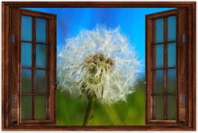 Poszterek 90x60 Pitypang Virág Virágok