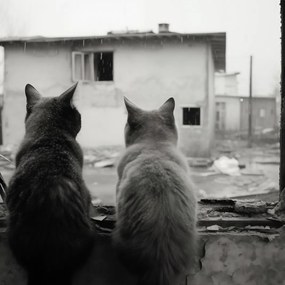 Poszter 100x100cm Gondolatok az elhagyatott küszöbről