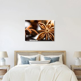 Üveg kép - Anise (70x50 cm)