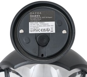 Okos kültéri fali lámpa fekete, átlátszó üveggel, LED-del, IP54 - Classica